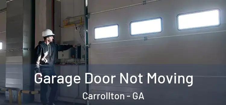  Garage Door Not Moving Carrollton - GA
