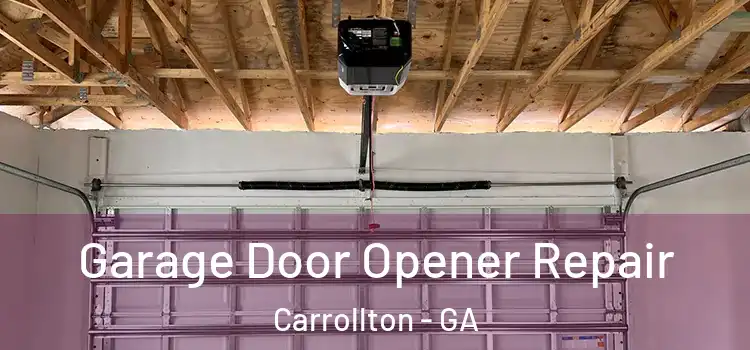  Garage Door Opener Repair Carrollton - GA