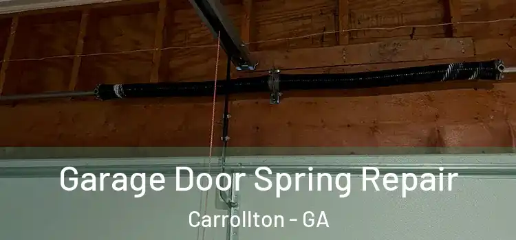  Garage Door Spring Repair Carrollton - GA