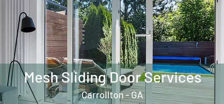 Mesh Sliding Door Services Carrollton - GA